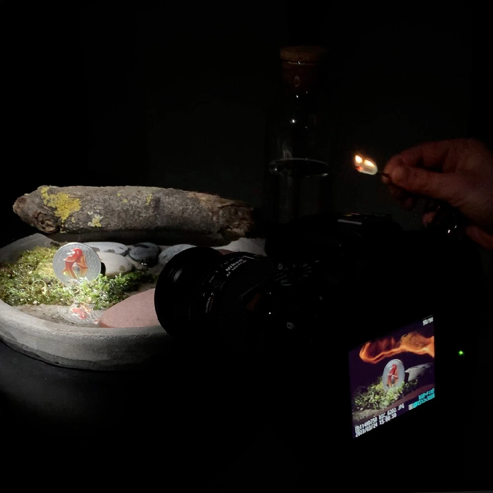 produkto fotografija moneta studijoje Vizualo Meistrai